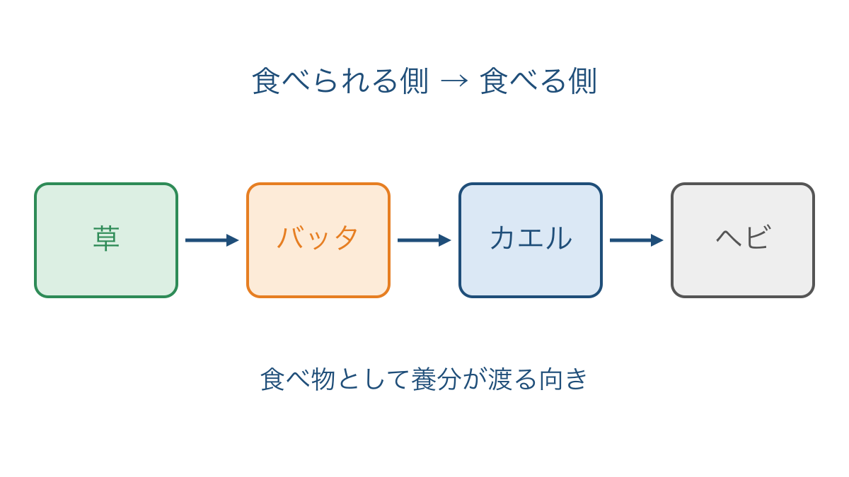 図1 草からヘビへ食べ物として養分が渡る向き