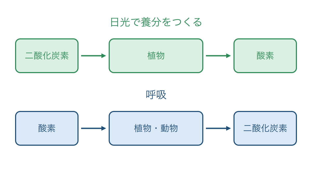 図2 養分づくりと呼吸で出入りする気体の違い