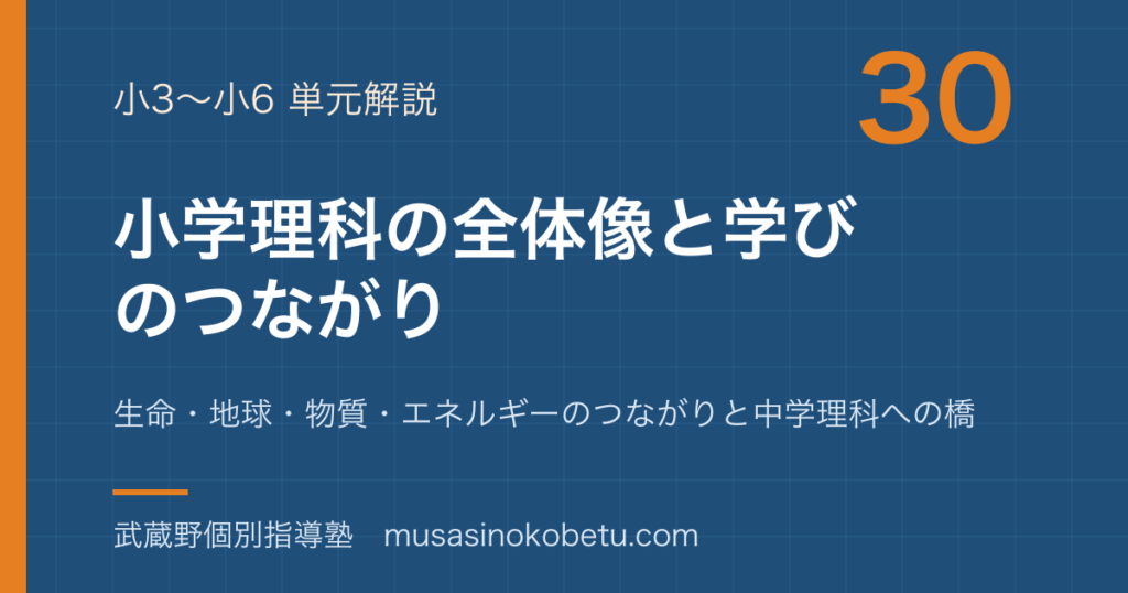 小学理科小学理科の全体地図生命地球物質エネルギーのつながりと中学理科への橋のアイキャッチ | 武蔵野個別指導塾 【小学理科】小学理科の全体地図—生命・地球・物質・エネルギーのつながりと中学理科への橋のアイキャッチ 武蔵野個別指導塾