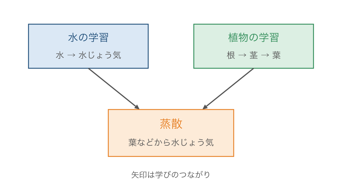 図3 水の状態変化と植物の学習が蒸散の理解につながる図