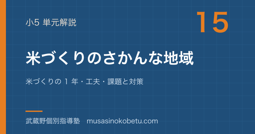 小5社会米づくりのさかんな地域を図解で総まとめ米づくりの 1 年工夫課題と対策のアイキャッチ | 武蔵野個別指導塾 【小5社会】米づくりのさかんな地域を図解で総まとめ—米づくりの 1 年・工夫・課題と対策のアイキャッチ 武蔵野個別指導塾