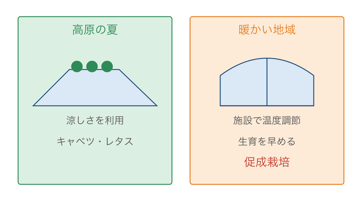 図1 高原の涼しさと暖かい地域の施設を生かす野菜づくり