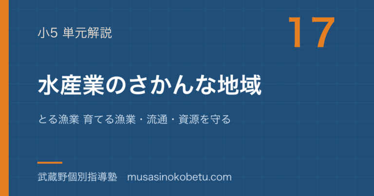 【小5社会】水産業のさかんな地域を図解で総まとめ—とる漁業 育てる漁業・流通・資源を守るのアイキャッチ