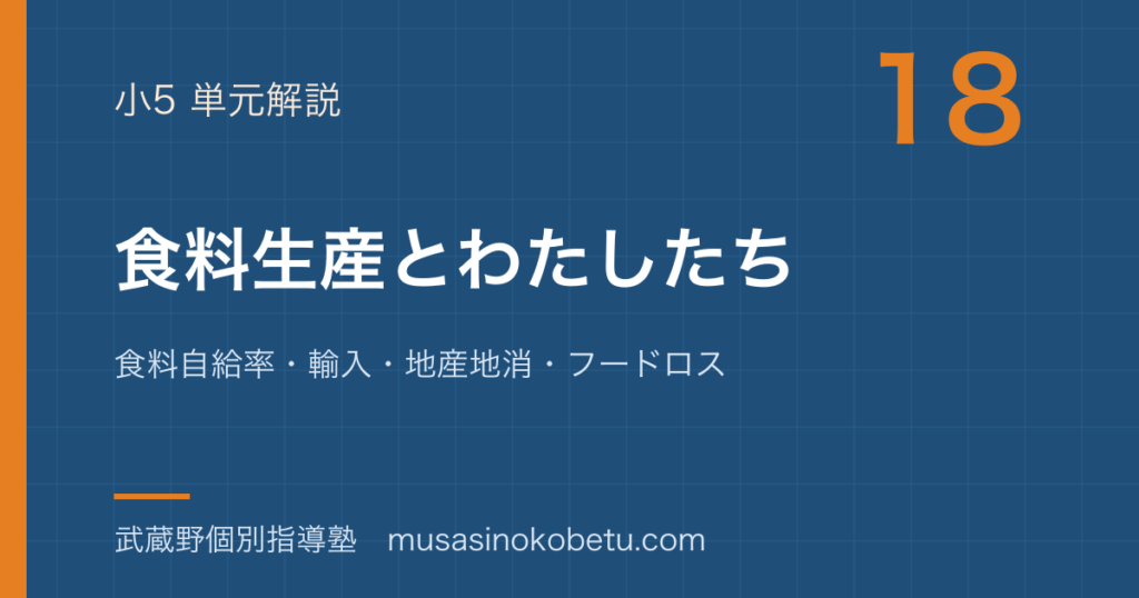 小5社会食料生産とわたしたちを図解で総まとめ食料自給率輸入地産地消フードロスのアイキャッチ | 武蔵野個別指導塾 【小5社会】食料生産とわたしたちを図解で総まとめ—食料自給率・輸入・地産地消・フードロスのアイキャッチ 武蔵野個別指導塾