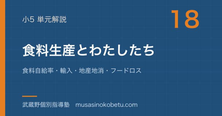 【小5社会】食料生産とわたしたちを図解で総まとめ—食料自給率・輸入・地産地消・フードロスのアイキャッチ