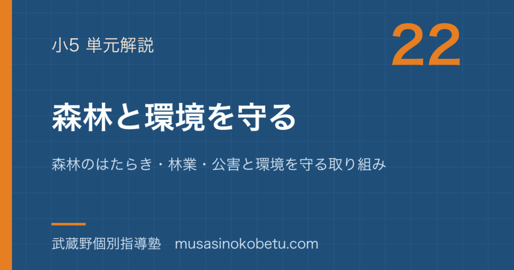 【小5社会】森林と環境を守るを図解で総まとめ—森林のはたらき・林業・公害と環境を守る取り組みのアイキャッチ 武蔵野個別指導塾