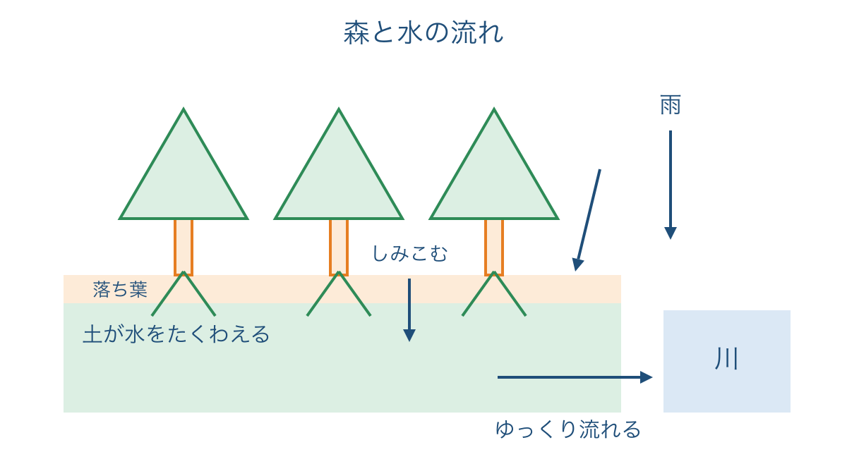 図1　森林の土にしみこんだ雨水が川へ流れる仕組み