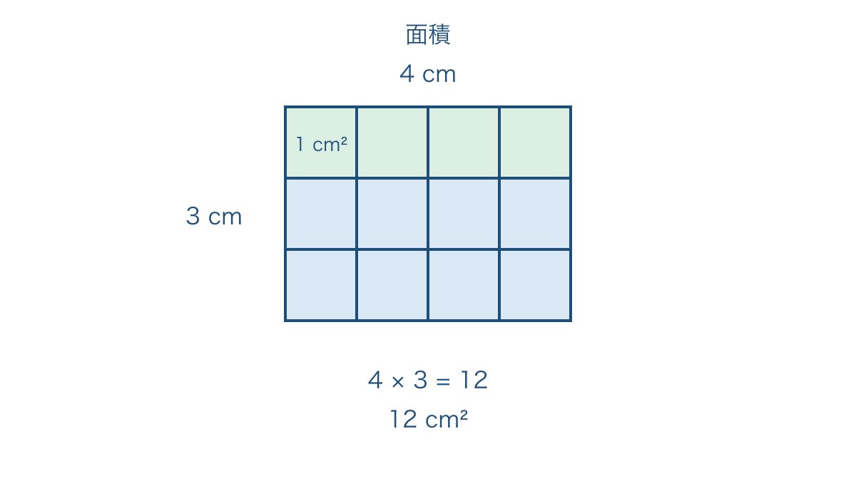 図2 長方形を一平方センチメートルの正方形で数える図