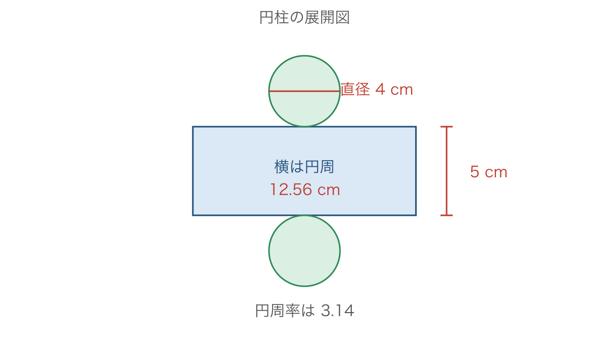 図3　円柱の底面の直径と側面を広げた長方形の長さ