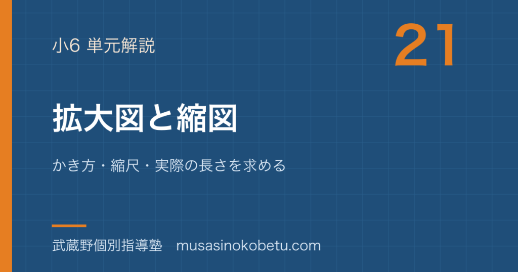 小6算数拡大図と縮図を図解で総まとめかき方縮尺実際の長さを求めるのアイキャッチ | 武蔵野個別指導塾 【小6算数】拡大図と縮図を図解で総まとめ—かき方・縮尺・実際の長さを求めるのアイキャッチ 武蔵野個別指導塾